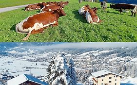 Sauschneidhof - Radstadt